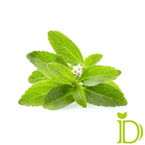 استویا دمی نو