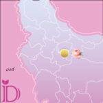 غنچه گل محمدی دمی نو