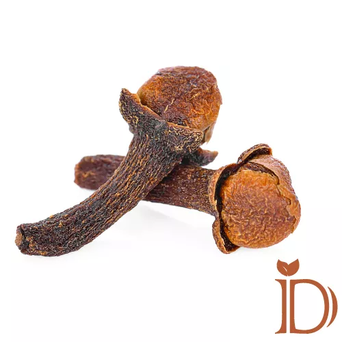 میخک دمی نو