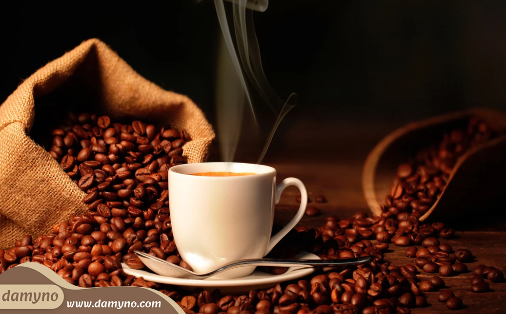 دانه قهوه چیست؟