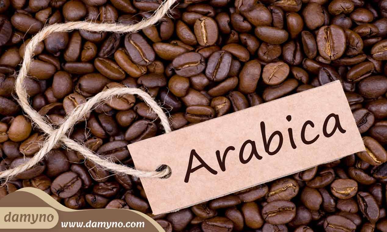 خرید قهوه عربیکا arabica