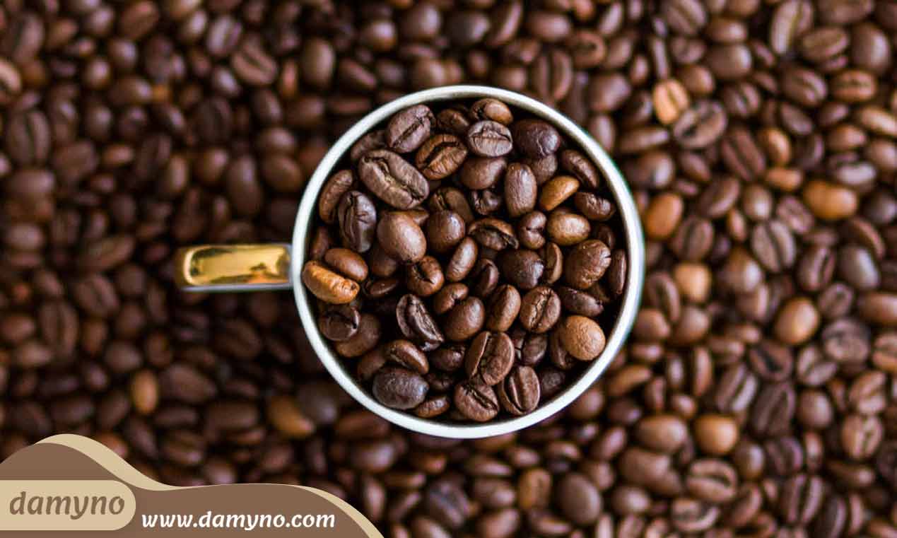 انواع قهوه روبوستا robusta