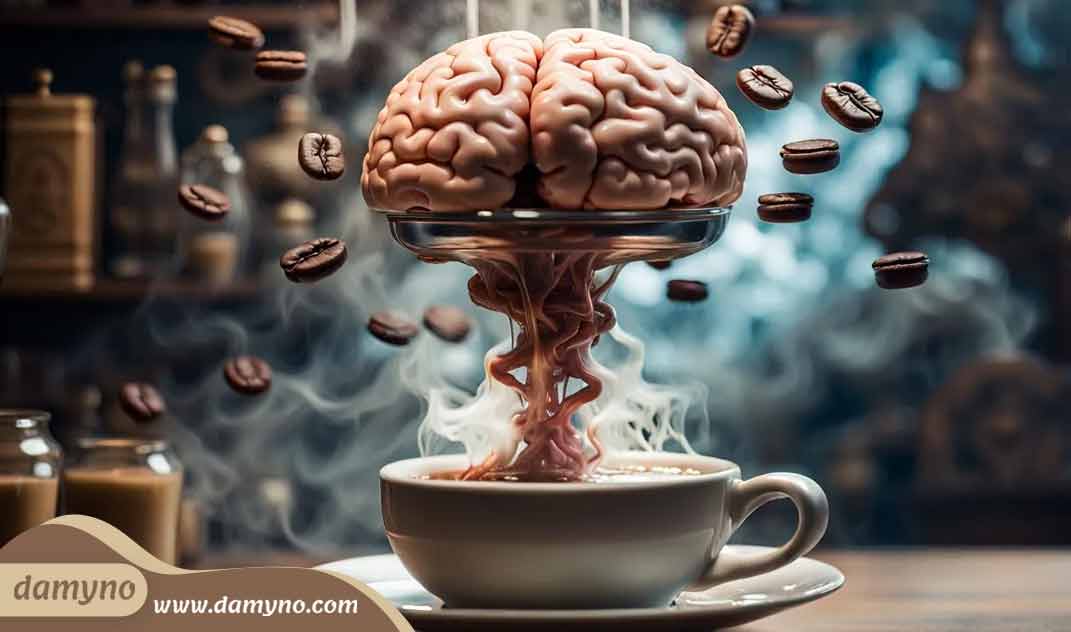 مصرف قهوه چه تاثیری بر مغز دارد؟