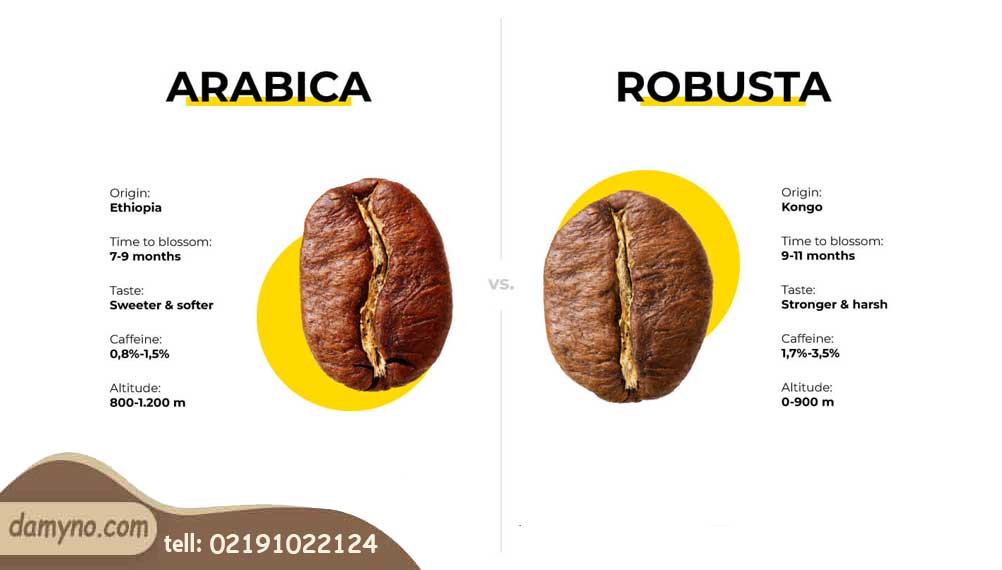 10 تفاوت قهوه عربیکا و روبوستا که باید در انتخاب قهوه بدانید